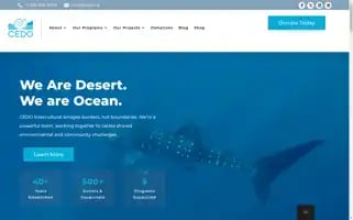 Cedo.org Screenshot 2024-07-01 15:43:05