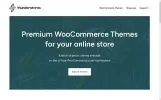 Thunder-stores.com Screenshot 2024-06-19 02:56:42