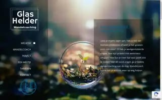 Glasheldercoach.nl Screenshot 2024-07-09 02:14:50