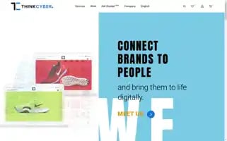 Thinkcyber.com Screenshot 2024-06-16 01:20:12