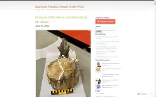 Svpow.com Screenshot 2024-06-30 20:25:58