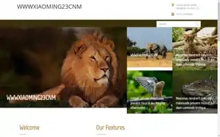 Vsenovosti.top Screenshot 2024-07-07 16:03:17