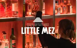 Littlemez.co.nz Screenshot 2024-06-15 18:25:32