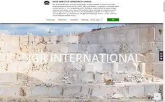 Ngr-int.eu Screenshot 2024-07-02 04:23:39