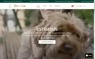 Estratusglobal.com Screenshot 2024-05-03 22:49:32