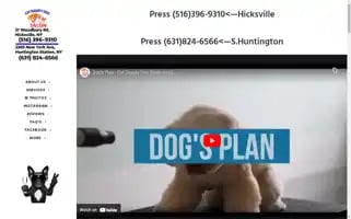 Catdiggitydog.com Screenshot 2024-06-12 17:45:41