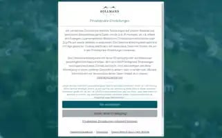 Bollmann-gruppe.de Screenshot 2024-06-30 14:57:19