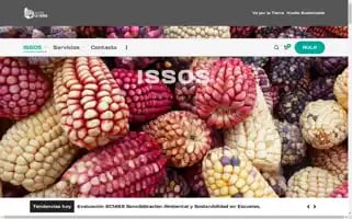 Institutoissos.com Screenshot 2024-05-26 22:31:00