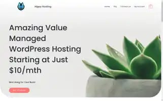 Hippyhosting.com Screenshot 2024-05-18 19:44:16