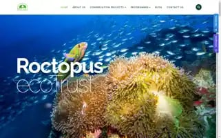 Roctopusecotrust.com Screenshot 2024-07-02 04:07:53