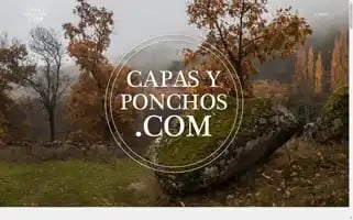 Capasyponchos.com Screenshot 2024-05-26 12:31:01