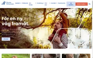 Strokeforbundet.se Screenshot 2024-06-11 23:38:28