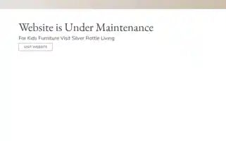 Silverrattle.in Screenshot 2024-06-28 13:45:40