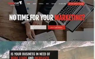 Madcatmarketing.com.au Screenshot 2024-06-14 01:12:52