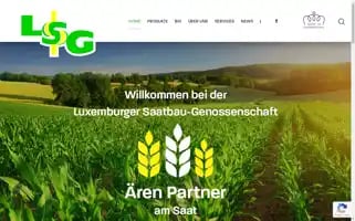 Lsg.lu Screenshot 2024-07-10 01:11:24