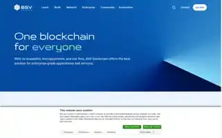 Bsvblockchain.org Screenshot 2024-07-09 07:59:28