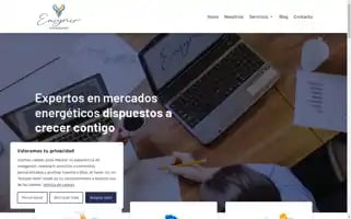 Easyner.com Screenshot 2024-06-17 19:29:30