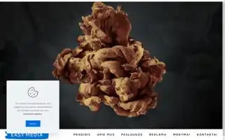 Easymedia.lt Screenshot 2024-05-27 19:59:34
