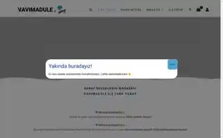 Vavimadule.com Screenshot 2024-05-26 13:44:04
