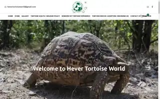 Hevertortoiseworld.org Screenshot 2024-05-18 19:57:57