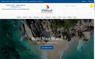 Pinnpro.com Screenshot 2024-05-13 10:06:45