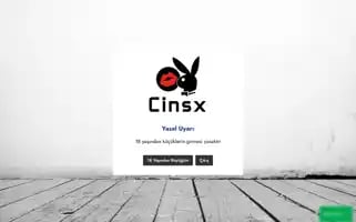 Cinsx.com Screenshot 2024-06-18 18:56:37