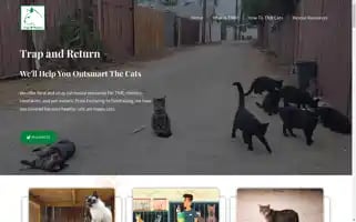 Trapandreturn.com Screenshot 2024-07-06 11:53:28