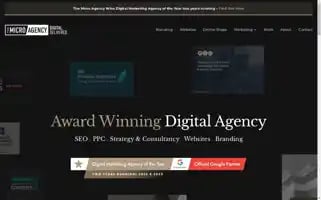 Themicroagency.co.uk Screenshot 2024-07-01 03:25:39