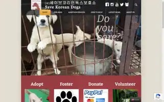 Savekoreandogs.org Screenshot 2024-06-18 23:09:01