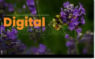 Poln.co.za Screenshot 2024-07-01 08:36:29