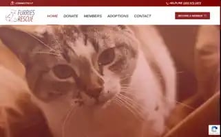 Furriesrescue.org Screenshot 2024-05-19 12:14:42