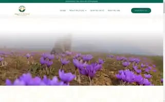 Valleyexoticsco.com Screenshot 2024-05-19 00:56:21