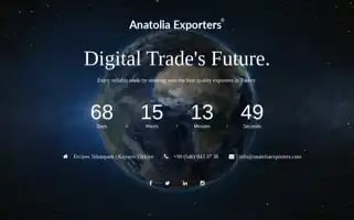 Anatoliaexporters.com Screenshot 2024-05-24 08:46:12