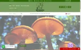 Mandspsychedelicss.com Screenshot 2024-05-17 03:21:56