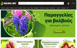 Volvoi.net Screenshot 2024-05-21 14:58:21