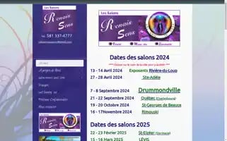 Salonrenaissens.com Screenshot 2024-06-17 17:08:41