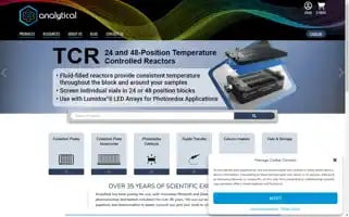 Analytical-sales.com Screenshot 2024-06-12 14:51:24