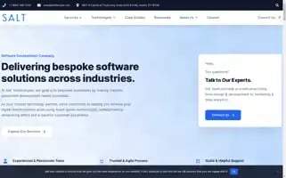 Salttechno.com Screenshot 2024-07-02 23:11:39