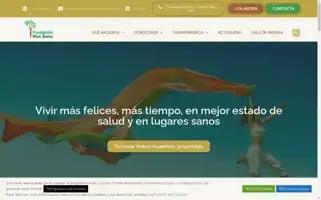 Fundacionvivosano.org Screenshot 2024-06-30 19:53:14