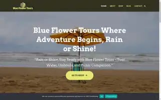 Blueflowertours.com Screenshot 2024-04-27 01:14:14