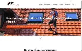Demoussage-de-toitures.be Screenshot 2024-06-16 13:54:48