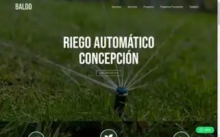 Baldoriego.com Screenshot 2024-05-24 00:30:36