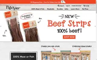 Figandtyler.com Screenshot 2024-05-09 17:04:06