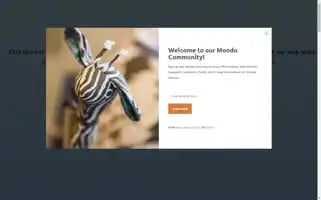 Mondoandcompany.com Screenshot 2024-07-03 15:03:57
