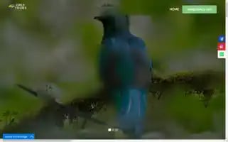 Orlytour.com Screenshot 2024-04-25 14:48:52