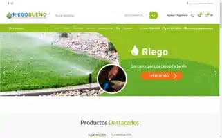 Riegobueno.cl Screenshot 2024-06-15 13:26:24