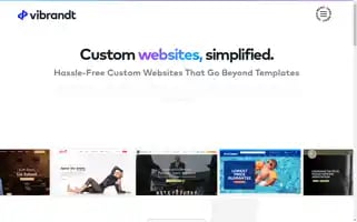 Vibrandtweb.com Screenshot 2024-06-17 05:28:49