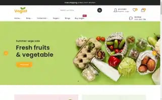 Vegina-store.myshopify.com Screenshot 2024-05-04 05:50:52