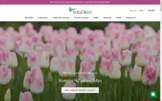 Bulbsdirect.co.nz Screenshot 2024-05-04 10:13:45