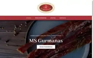 Msgurmanas.lt Screenshot 2024-07-09 00:56:32